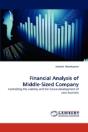 Financial Analysis Of Middle-Sized Company - Preview