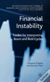 Capa do artigo Financial Instability
