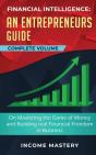 Financial Intelligence: An Entrepreneurs - Preview