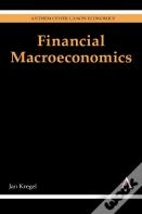 Financial Macroeconomics