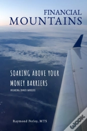 Capa do artigo Financial Mountains