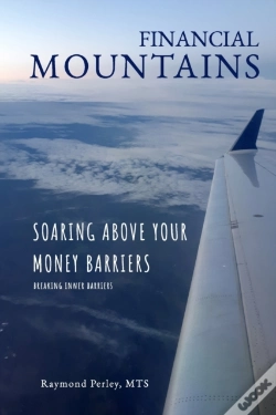Capa do artigo Financial Mountains