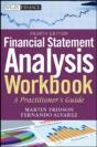 Financial Statement Analysis Workbook - Preview