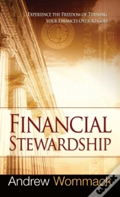 Capa do artigo Financial Stewardship