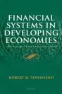 Financial Systems In Developing Economies - Preview