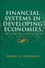 Financial Systems In Developing Economies - Preview