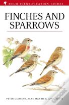 Finches And Sparrows
