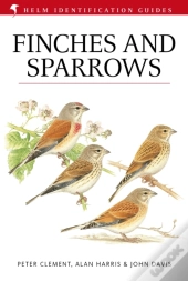 Finches And Sparrows