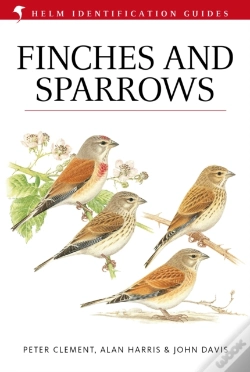 Capa do artigo Finches And Sparrows