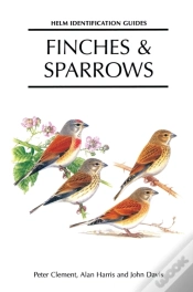 Capa do artigo Finches And Sparrows