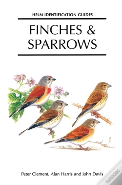 Capa do artigo Finches And Sparrows