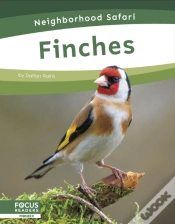 Capa do artigo Finches