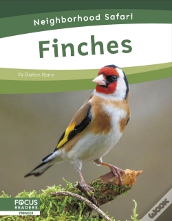 Capa do artigo Finches