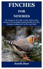 Finches For Newbies - Preview