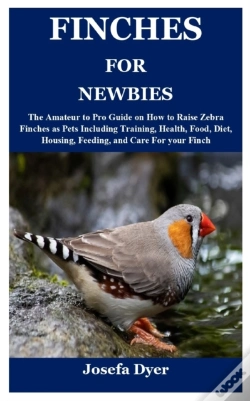 Capa do artigo Finches For Newbies