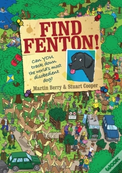 Capa do artigo Find Fenton!