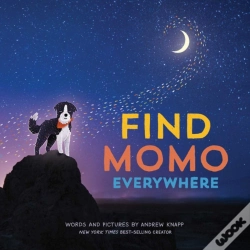 Capa do artigo Find Momo Everywhere