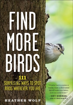 Capa do artigo Find More Birds