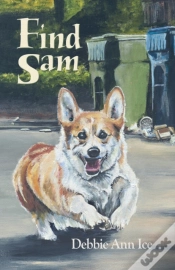 Capa do artigo Find Sam