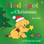 Find Spot At Christmas - Preview