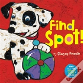Find Spot!