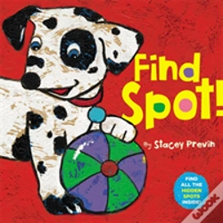 Capa do artigo Find Spot!