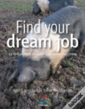 Capa do artigo Find Your Dream Job