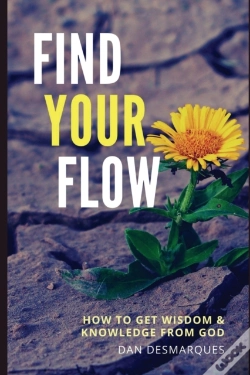 Capa do artigo Find Your Flow