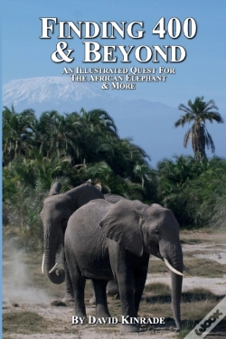 Capa do artigo Finding 400   Beyond