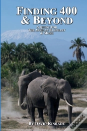 Capa do artigo Finding 400 & Beyond