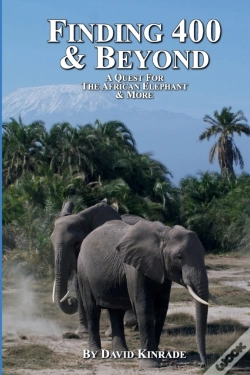Capa do artigo Finding 400 & Beyond