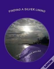 Finding A Silver Lining