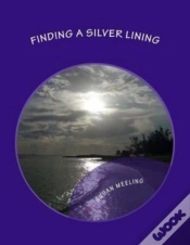 Capa do artigo Finding A Silver Lining
