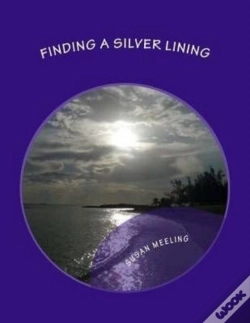 Capa do artigo Finding A Silver Lining