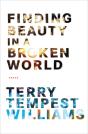Finding Beauty In A Broken World - Preview