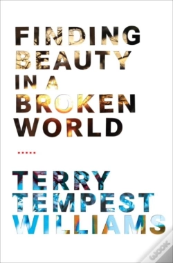 Capa do artigo Finding Beauty In A Broken World