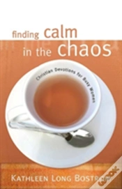 Capa do artigo Finding Calm In The Chaos