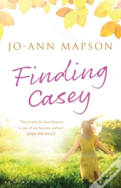 Capa do artigo Finding Casey