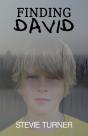 Finding David - Preview