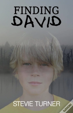 Capa do artigo Finding David