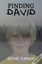 Capa do artigo Finding David