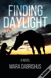Capa do artigo Finding Daylight