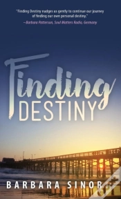 Capa do artigo Finding Destiny