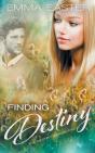 Finding Destiny - Preview