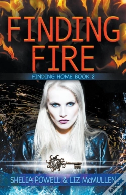 Capa do artigo Finding Fire