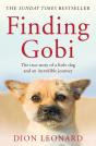 Finding Gobi (Main Edition) - Preview