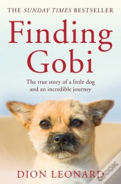 Capa do artigo Finding Gobi (Main Edition)