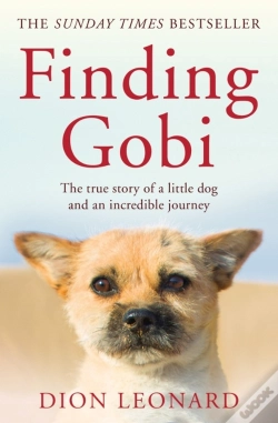 Capa do artigo Finding Gobi (Main Edition)