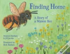 Finding Home