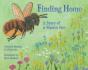 Finding Home - Preview